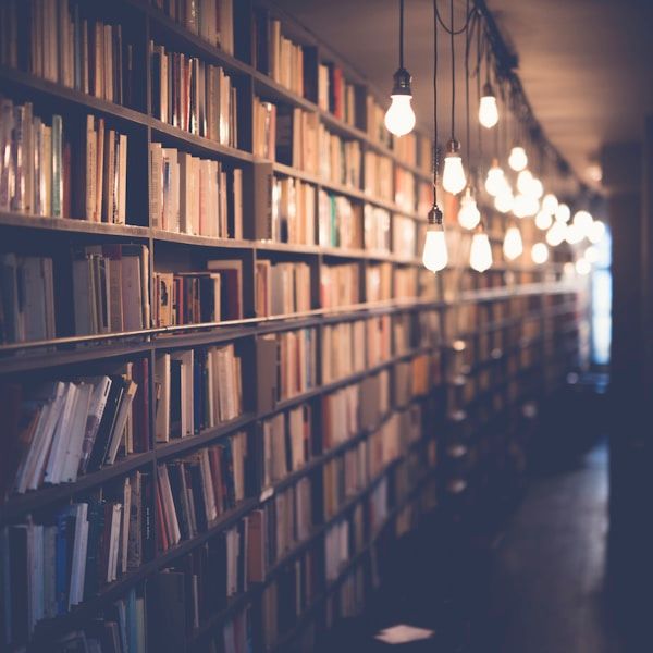 Një bibliotekë e qetë me libra të mrekullueshëm